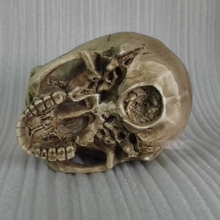 

Resin Skull Painted Bust Head gu yi for Human Muscle Skeletal Anatomy Fine Art Model Structure