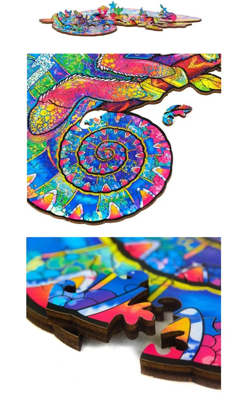 23222846245_1780124236 (1)