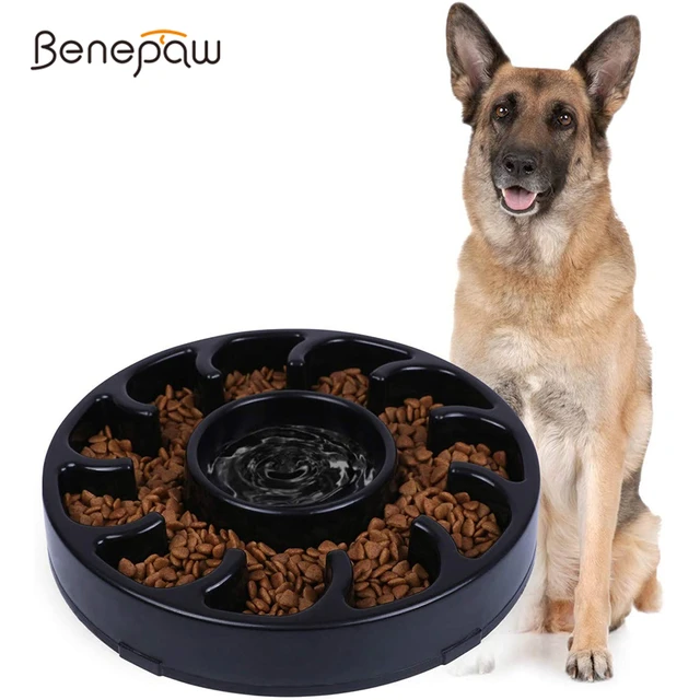 Benepaw Elevated Dog Bowls Adjustable Height Raised Slow Feeder No Choking  Non-Slip Puppy Cat Food Dish 2.2L Large Capacity - AliExpress