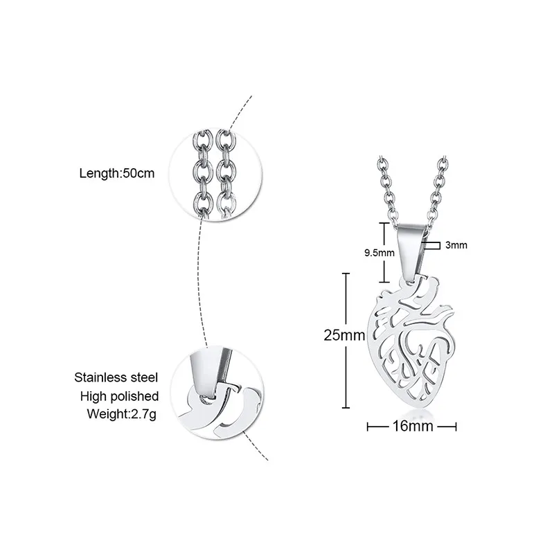 Modyle Women Charm Silver Color Anatomical Heart Pendant Necklace Stainless Steel Anatomy Physical Medical Science Jewelry
