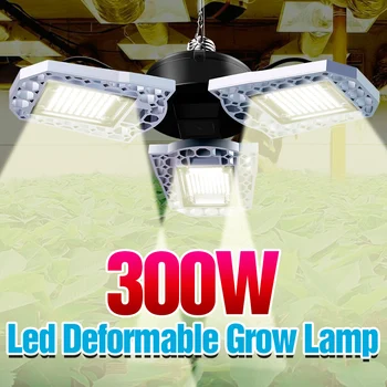 

300W Grow Tent Box Light LED E27 Seedling Plant Lamp Fito Led Full Spectrum Sunlike Light Bulb LED 220V Phyto Growing Light 100W