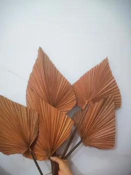

5pc Bronzed cattail leaf spray painting wedding flowers photo props Beautiful window decoration Art plam fan, dried plam fan