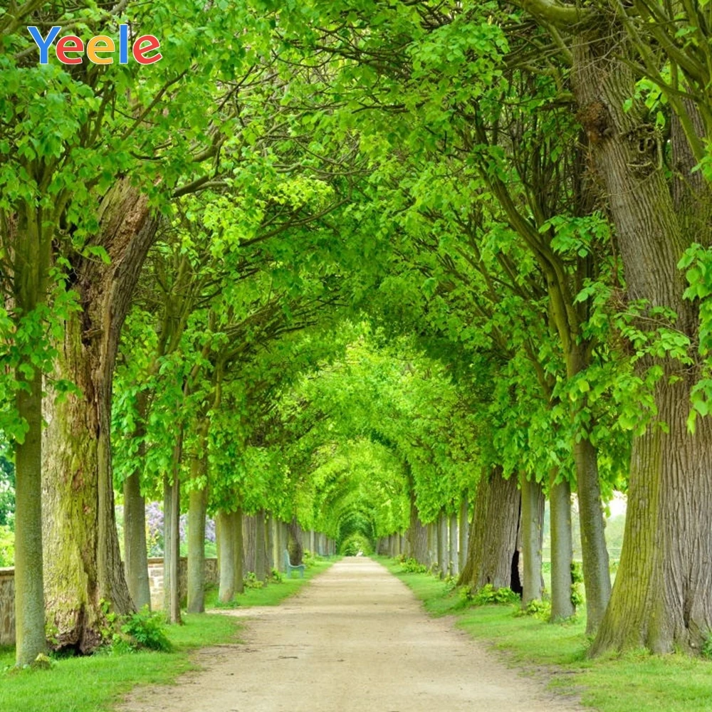 Green Tree Background