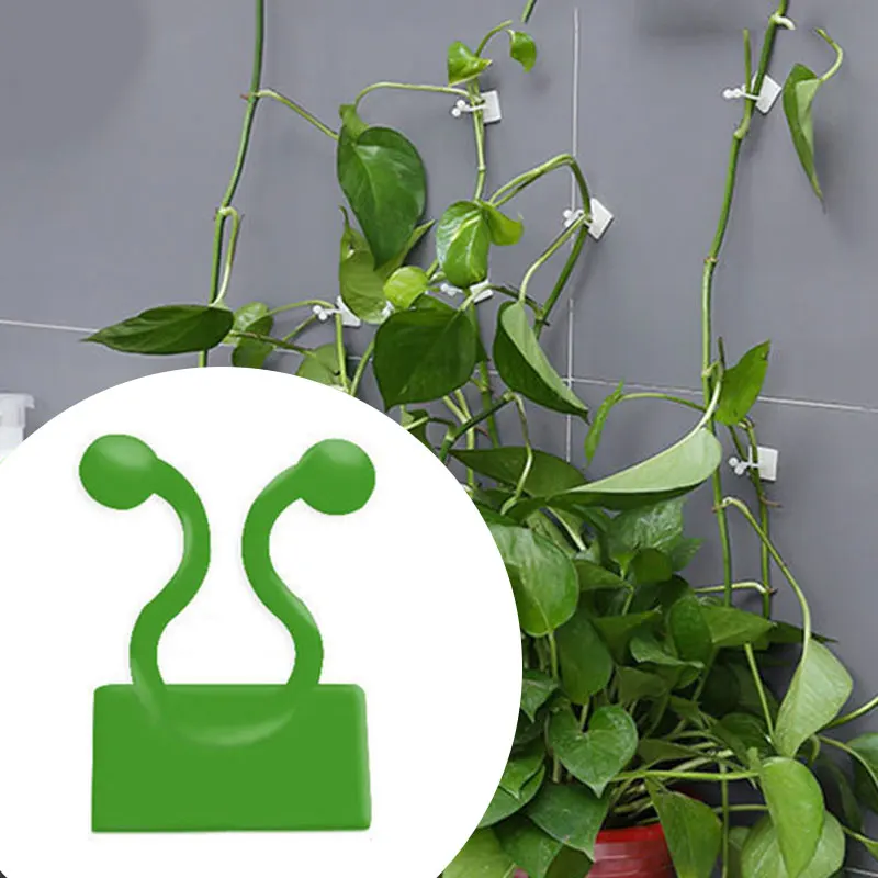 

Green Plant Climbing Fixer Vines Fixture Holder Invisible Multipurpose Convenient Balcony Garden Decoration Accessories Supply