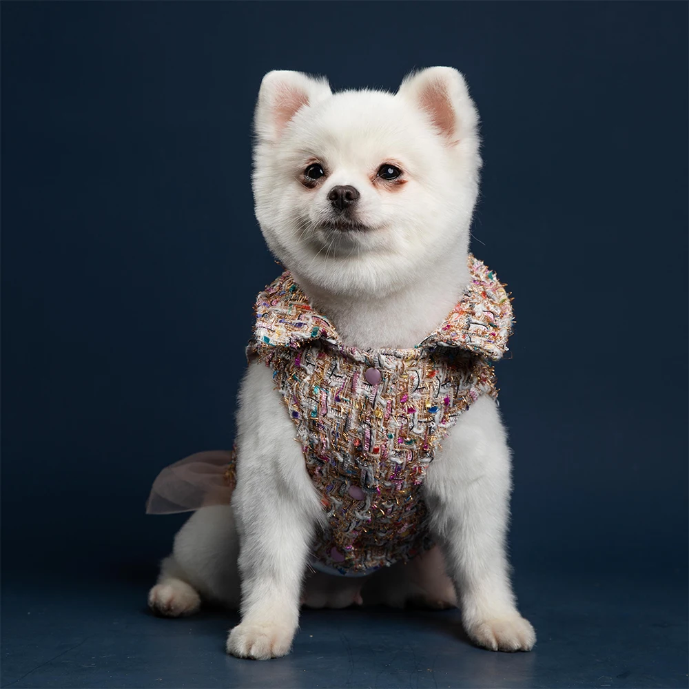 dog jacket shinei