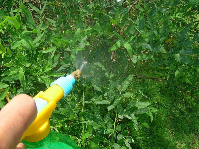 H784c5a7b9e734154b1db6729c90ad098Y