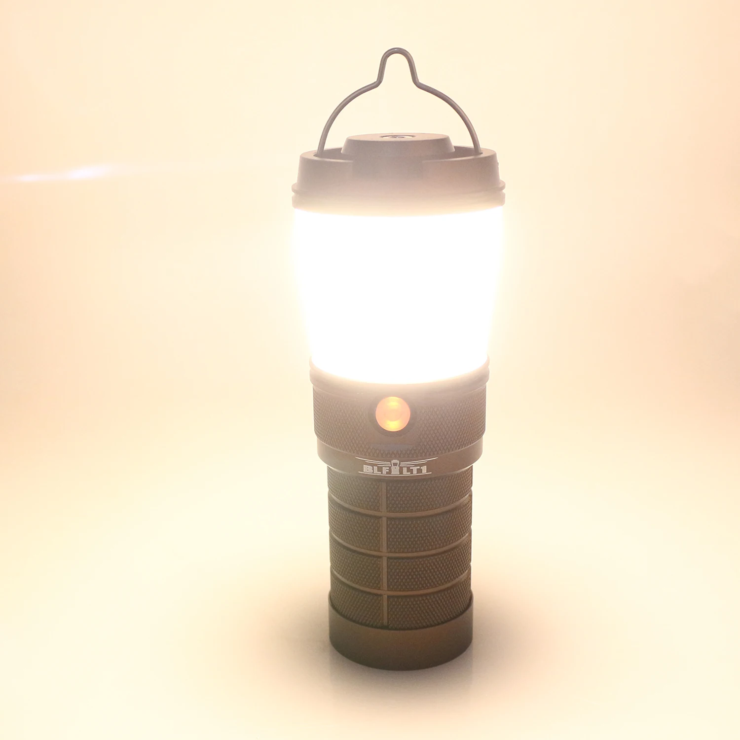 Torch loss