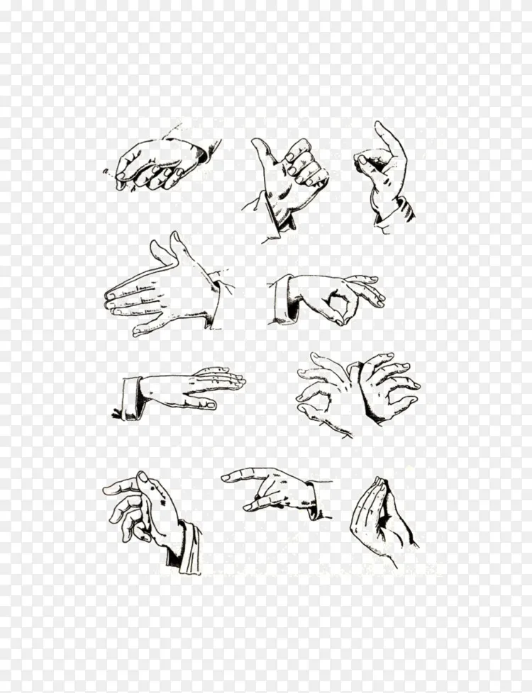 说意大利语 手势的艺术意味着语言 手势 Png图片素材免费下载 图片编号 Png素材网