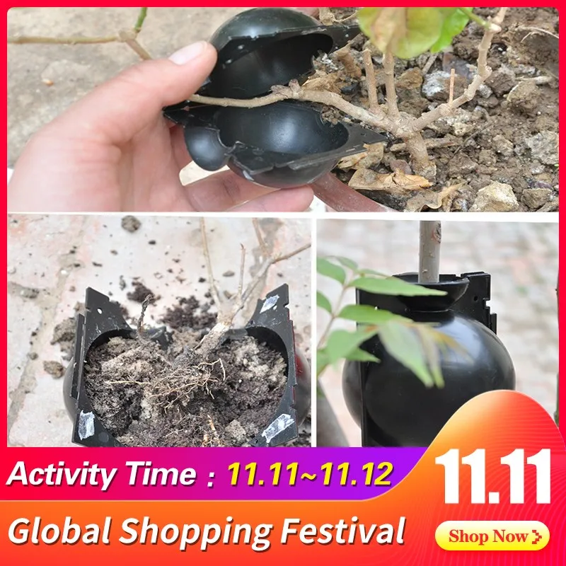 2020 Plant Rooting Ball Plant Root Growing Box Grafting 2020 Plant Rooting Ball Plant Root Growing Box Grafting