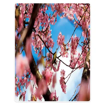 

Hommomh 60 "X80" throw blanket polyester material comfortable warm portable soft plush sofa bed beautiful cherry blossom