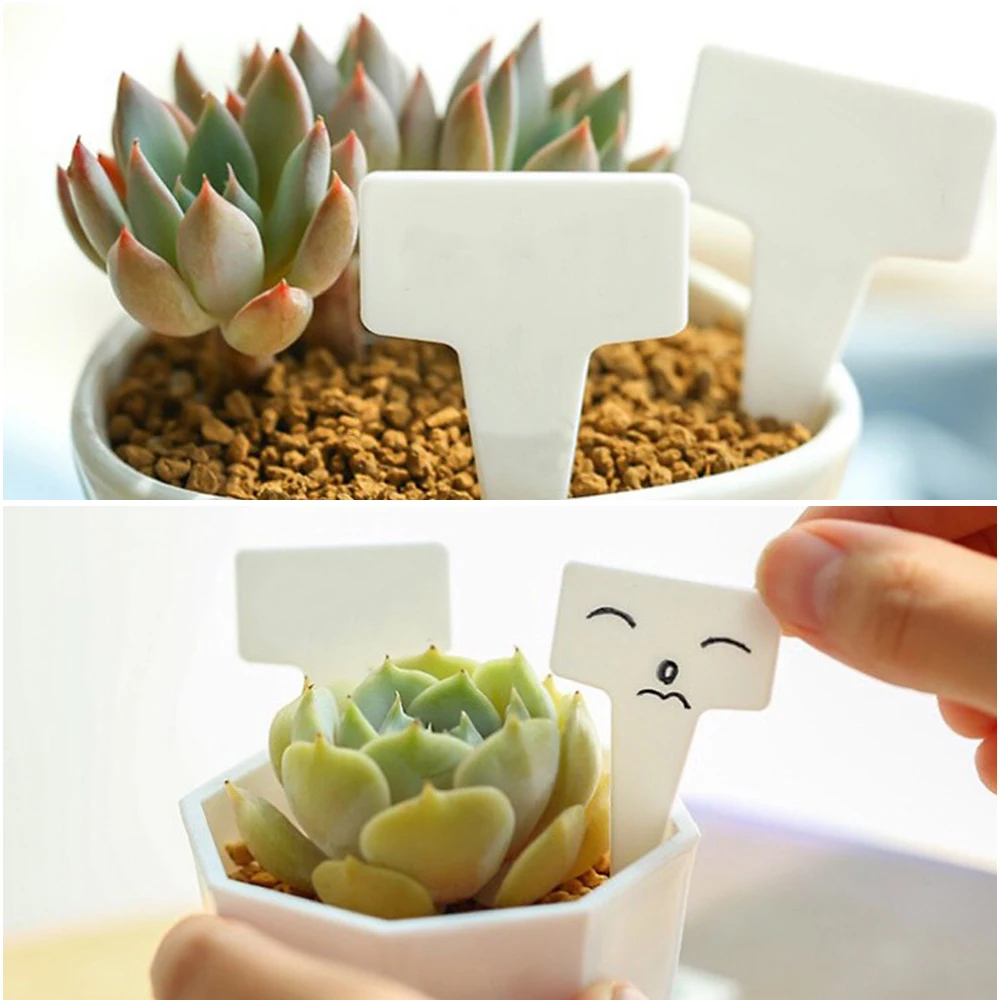 50PCS T-shape Flower Sign Plate Garden Tools Reusable Gardening Labels Plastic Farm Seedling Mark Plant Tag Drop Shipping | Дом и сад