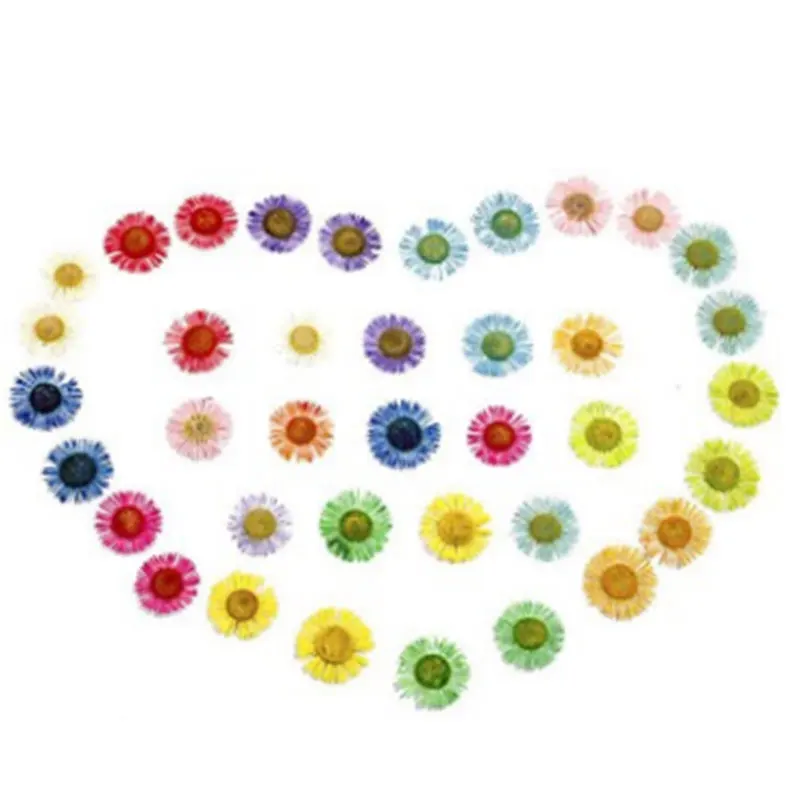 

30pcs/Set Pressed Dried Flower Dry Plants Pendant Necklace Jewelry Making Craft DIY Accessories for Party and Festival Gifts