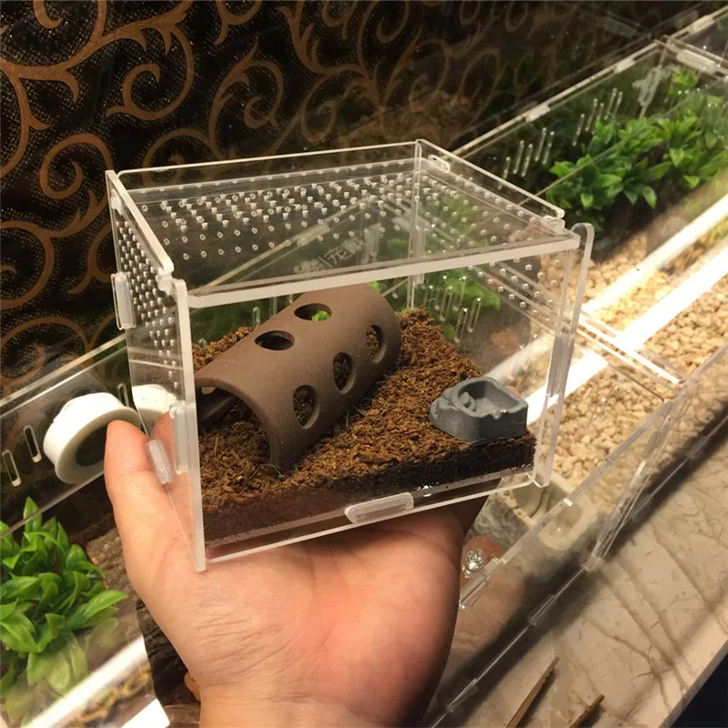 Reptile breeding box (11)