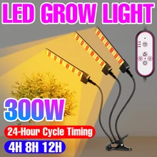 

Hydroponic Lamp LED Phyto Light Grow Lamp Full Spectrum 100W 200W 300W 400W Indoor Led Flower Seed Grow Bulb Grow Tent Light 12V