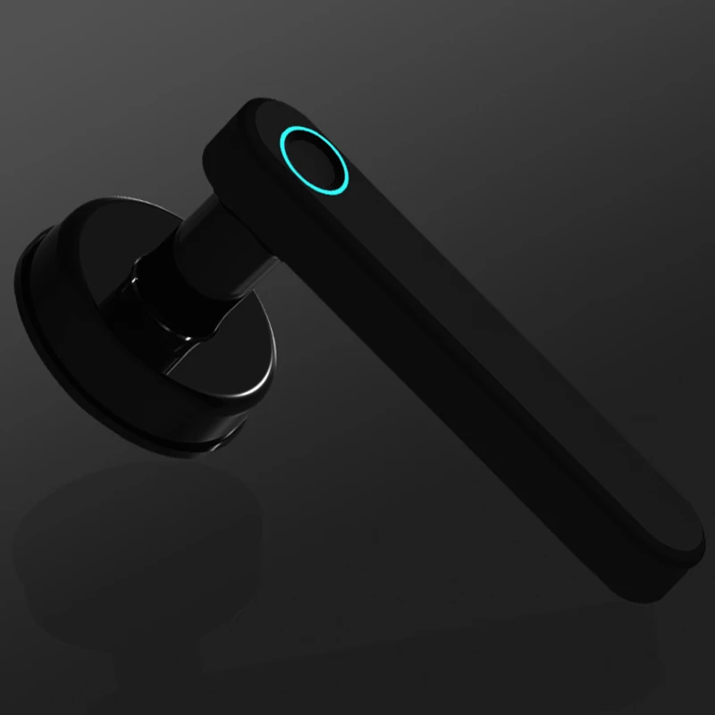 1 Набор домашних смарт-электронных отпечатков пальцев Дверной замок Bluetooth ключ разблокировки записи запрос товары для дома и офиса