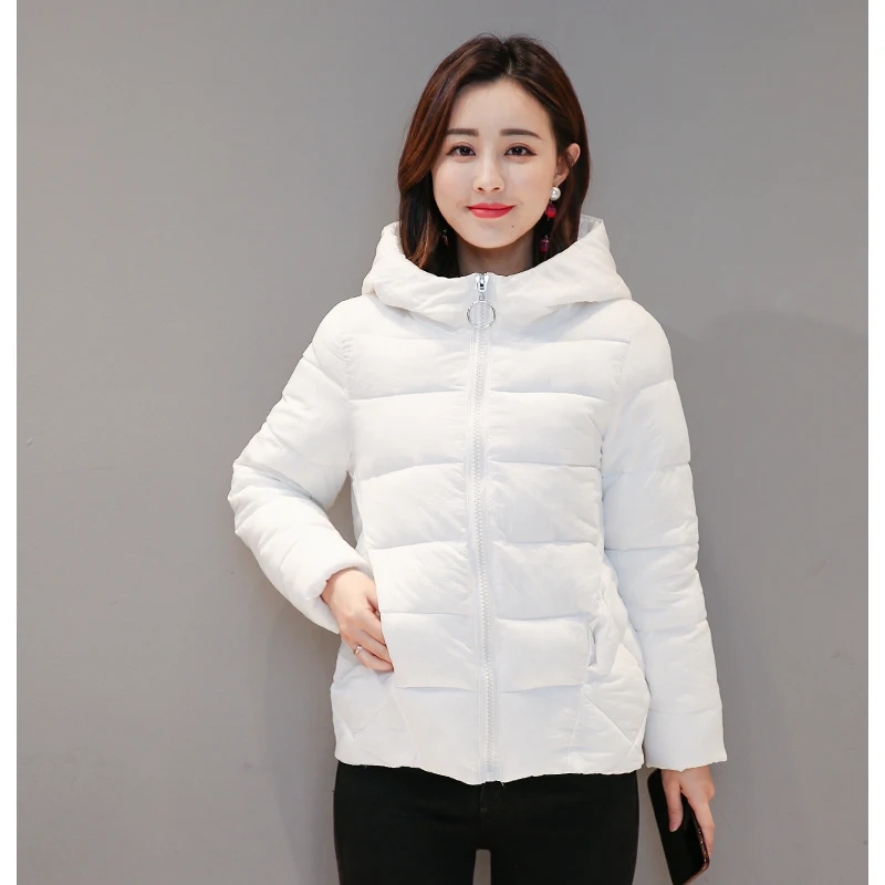 2019 Casual Brief Women Winter Jacket Hooded Padded Autumn Plus Size 5_B1_12