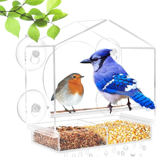 Window Viewing Bird Feeder Hotel Table Seed Peanut Hanging Suction Adsorption Pet Birdhouse Suction Cup Mount House Type Feeder 1