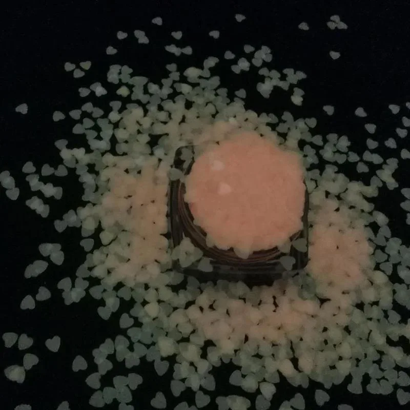 Brilho do Unha em pó Decoração da Arte para Unhas Fluorescente Neon Luminoso Brilho no Escuro Noctilucent Pigmento Poeira Flores Estrela Lantejoulas 100g 7 ?? (3)