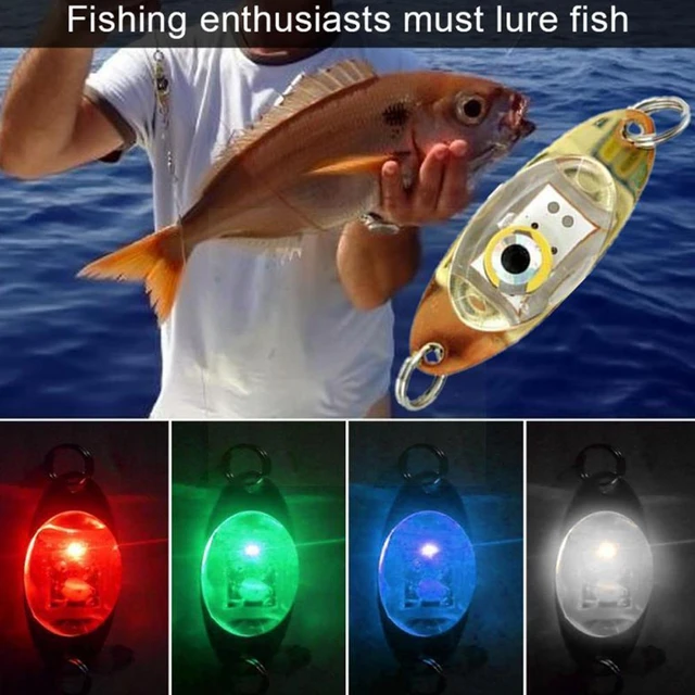 1pc LED Fish Lamp Mini Fishing Lure Light LED Deep Drop Underwater Eye  Shape Fishing Squid Fishing Bait Luminous Lure - AliExpress