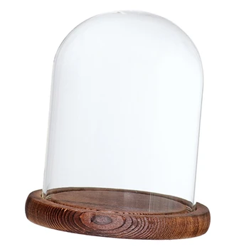 

1PC Clear Glass Plants and Flowers Holder e Display Cover Succulent Terrarium