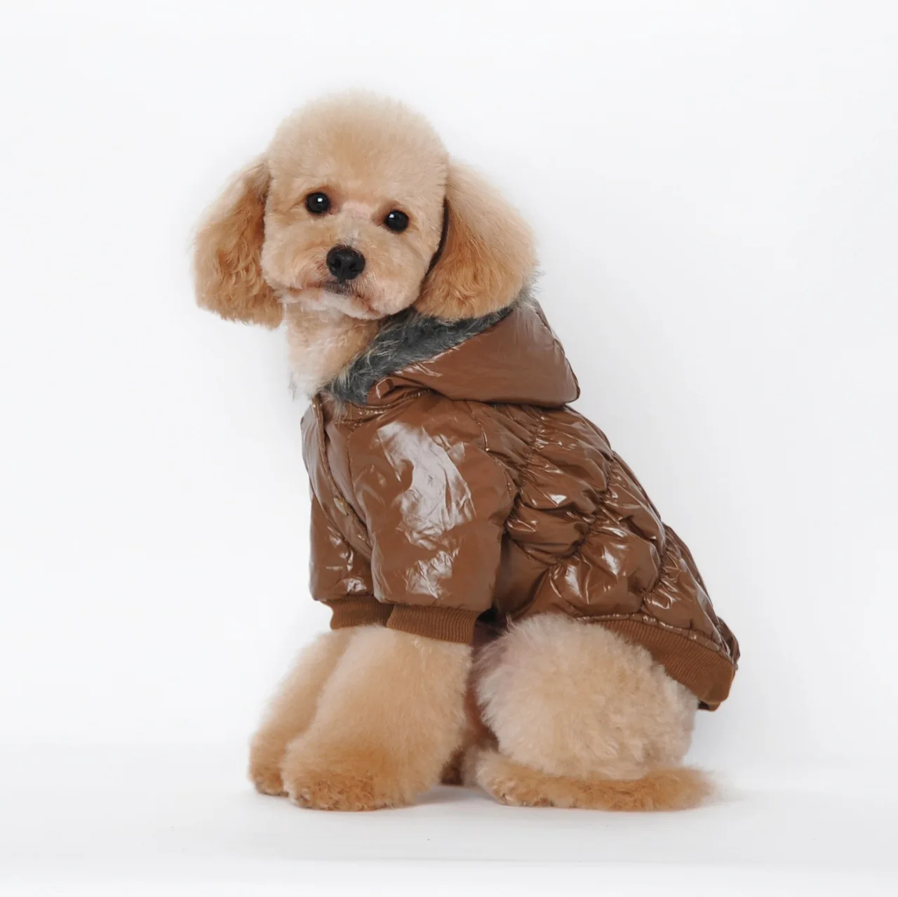Зимняя одежда для собак, куртка для собак, одежда для собак, мопс, Французский костюм для бульдога, корги, одежда для собак, верхняя одежда для домашних животных