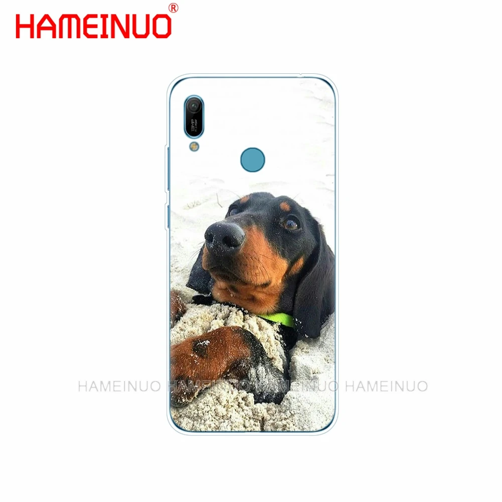 Силиконовый чехол для телефона huawei Y5 Y6 Y7 Y9 PRO PRIME honor 8s 8a 20 LITE PRO 10i view 20 V20 Dachshund собака добермана - Цвет: 41197