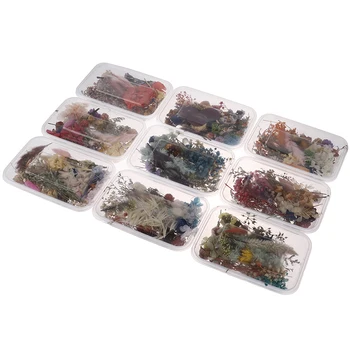 

1 Box Colorful Real Dried Flower Plant For Aromatherapy Candle Epoxy Resin Pendant Necklace Jewelry Making Craft DIY Accessories