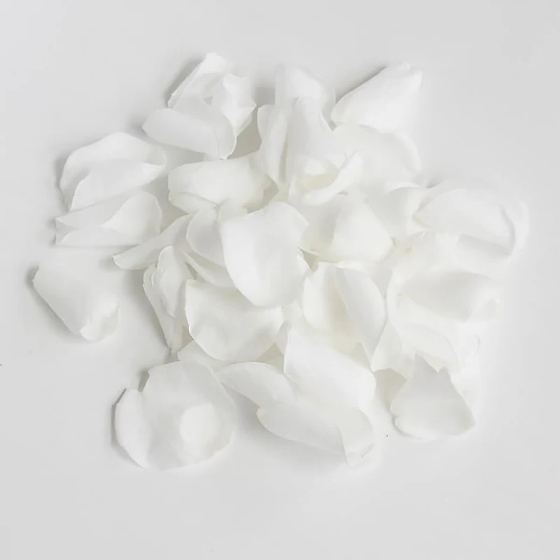 10 г/лот сухие лепестки, натуральные свежие лепестки роз для DIY настоящий вечный цветок материал украшение Свадебная гирлянда из конфетти - Цвет: Белый