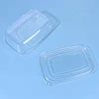 10/20/30/40 pcs Disposable Plastic Boxes 4