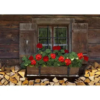 

Wooden Wall Window Potted Flower Photography Background Vinyl Backdrop Photo Studio for Baby Children Portrait Toy Photophone