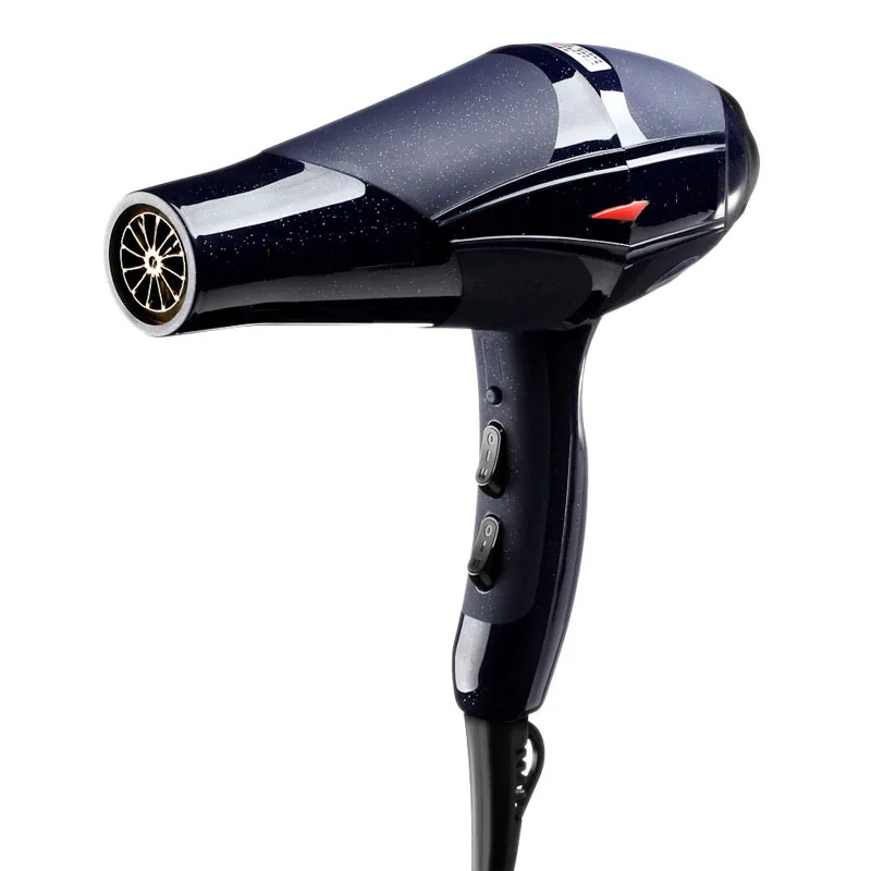 

AMITA ISVARA Negative Ion Hair Dryer High-power Household Appliances Constant Temperature Adjustment Blower