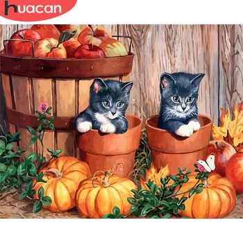 

HUACAN DIY Pictures By Number Cat Kits Hand Painted Paintings Art Painting By Numbers Animal Drawing On Canvas Gift Home Decor