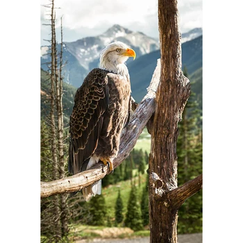 

DIY 5D diamond painting animal eagle cross stitch mosaic pattern rhinestone diamond embroidery home decoration ZWQ