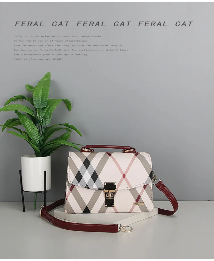 FERAL CAT 2017 Luxury Handbags Women Shoulder Bags Designer Ladies Hand Bags Leather Messenger Bag20