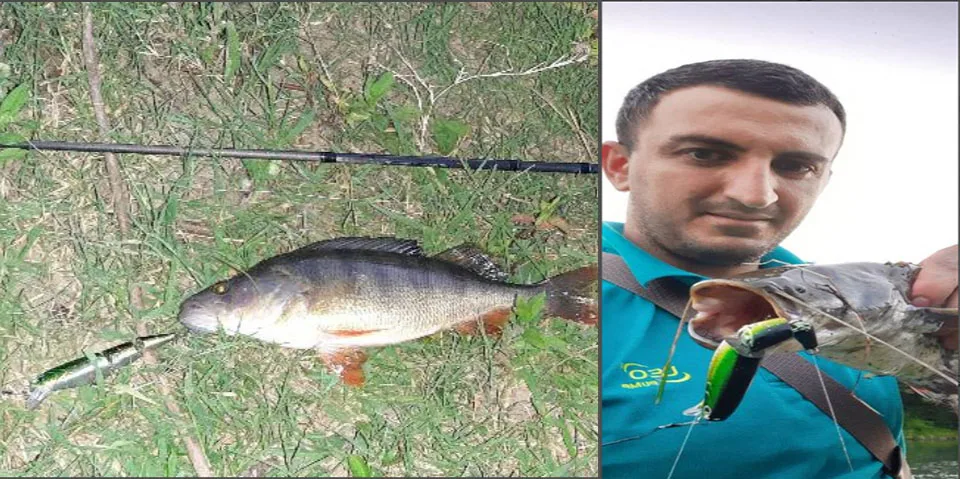 QQ图片20200824084615