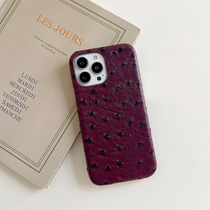 Luxury Ostrich Pattern Phone Case For iPhone Air 17 Pro 16 15 14 13 12 11 17Pro Max PU Leather Hard Shockproof Cover