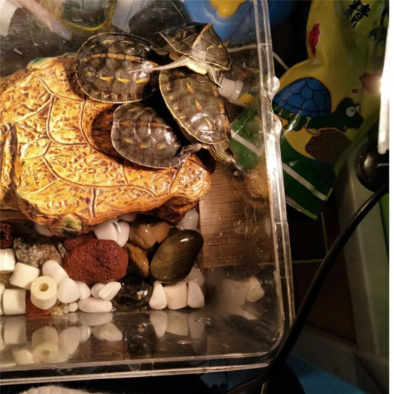 HTB15mWsdrZnBKNjSZFrq6yRLFXaE