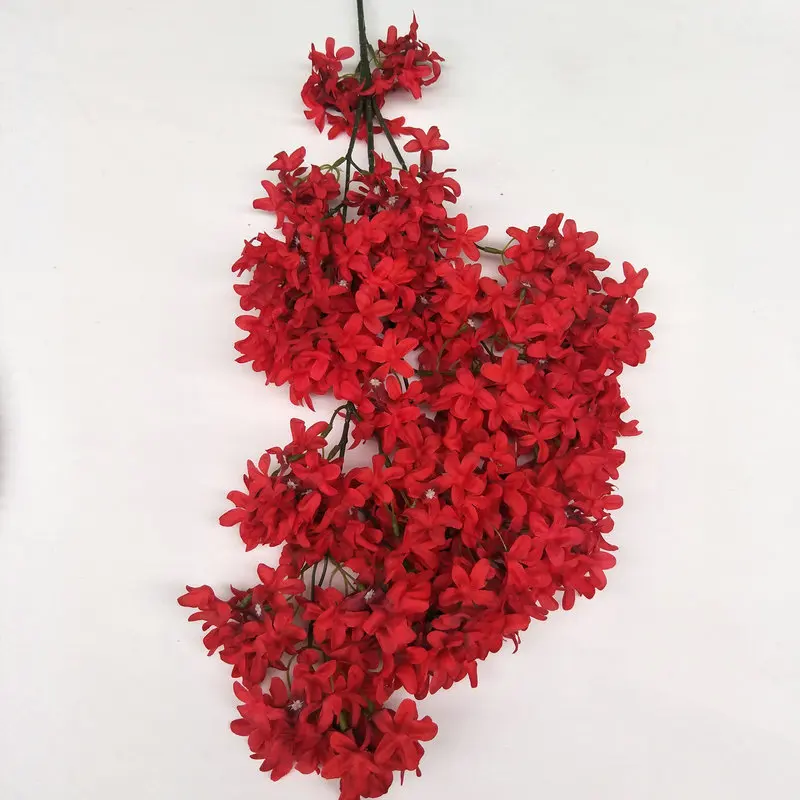 11565435815_1611482457