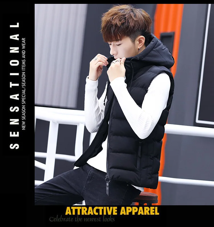 Cotton-padded Clothes Waistcoat Men's Autumn And Winter Teenager Casual Hooded Cardigan Sleeveless Waistcoat Korean-style Slim F