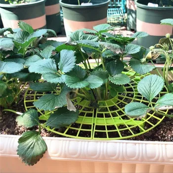 

Strawberry Supports Plant Growing Supports Plant Cradle Holder Rack Keeping Fruit Elevated To Avoid Ground Rot