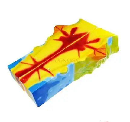 Volcano model junior high school geography experimental equipment volcanic eruption structure landform