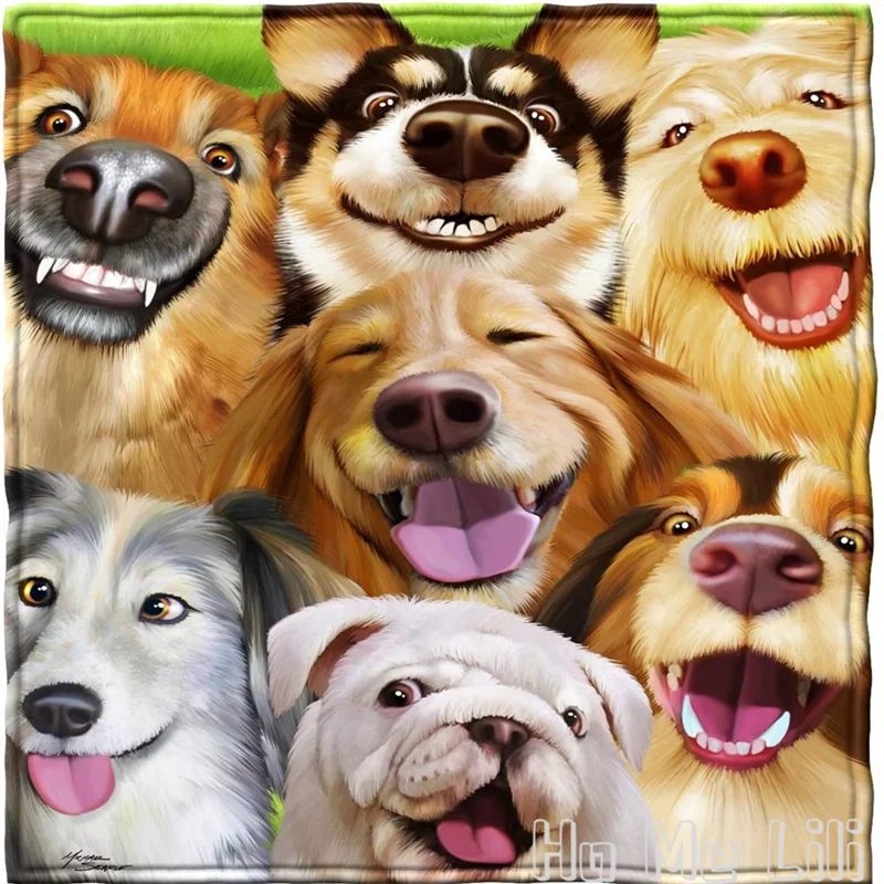 �� ��ī �ö��� ���, ����ִ� ��������� ���� �ູ�� ���� �� ���� ����Ʈ �÷��� ���� �Ž�