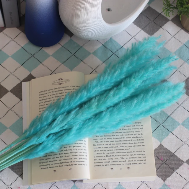 Dekoration 15Pcs Free Shipping Dried Pampas Grass Decor Wedding Flower Bunch Natural Plants for Home Christmas Decorations Tiffany Blue