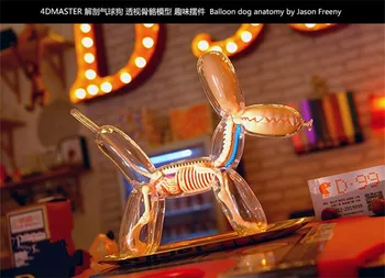 

master puzzle Assembling toy Perspective bone anatomy model Big balloon dog 4d