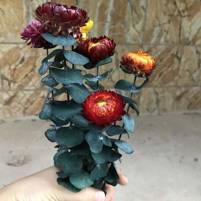 15-30CM/3-5CM Head Real Natural Fresh Preserved Eucalyptus With Forever Dry Chrysanthemum,Eternal Dried Roses Branches For Home