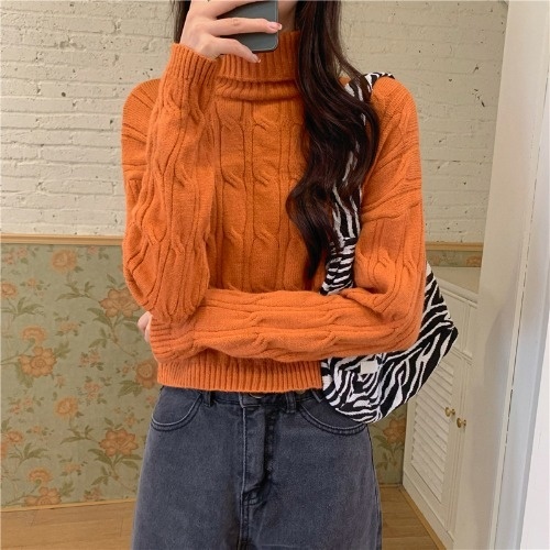 Lazy Style Turtleneck Pullover Outerwear Women's Autumn Winter Knitwear Long Sleeve Short Rac