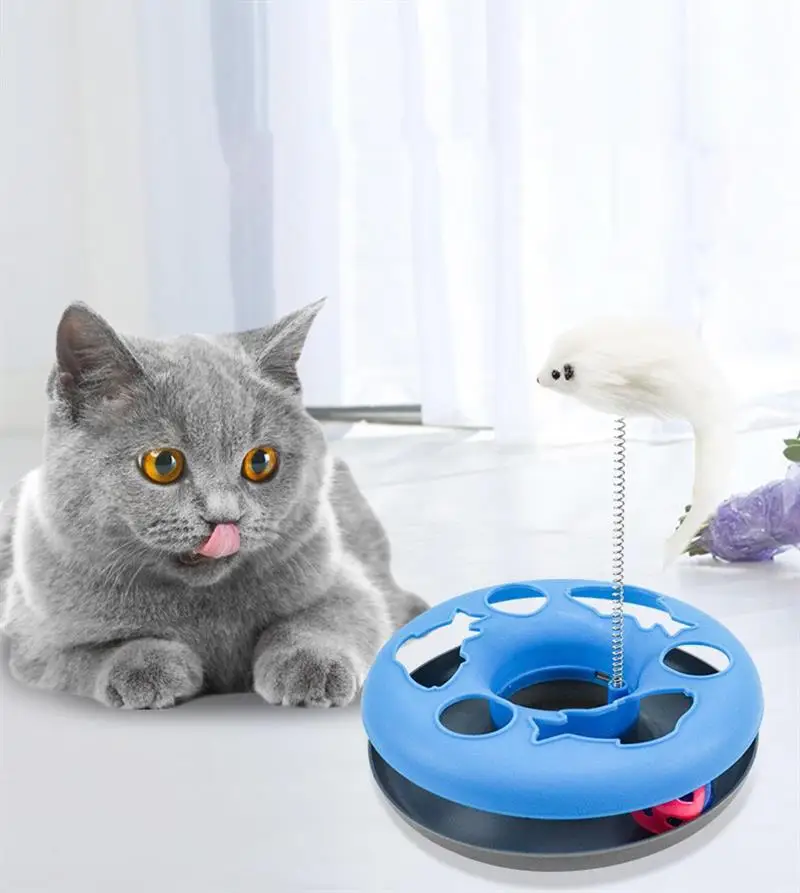 10777670072_1338372771