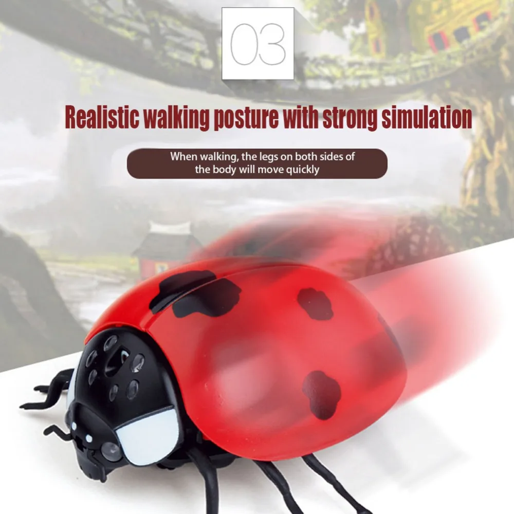 307085_no-logo_307085-1-04-g