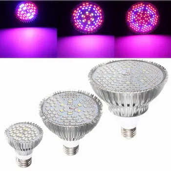 

Full Spectrum LED Plant Grow Lights 30/50/80W E27 5730 SMD 40LED Bulb Lamp Indoor Outdoor Veg Hydroponic Lamps 800-1000LM P20