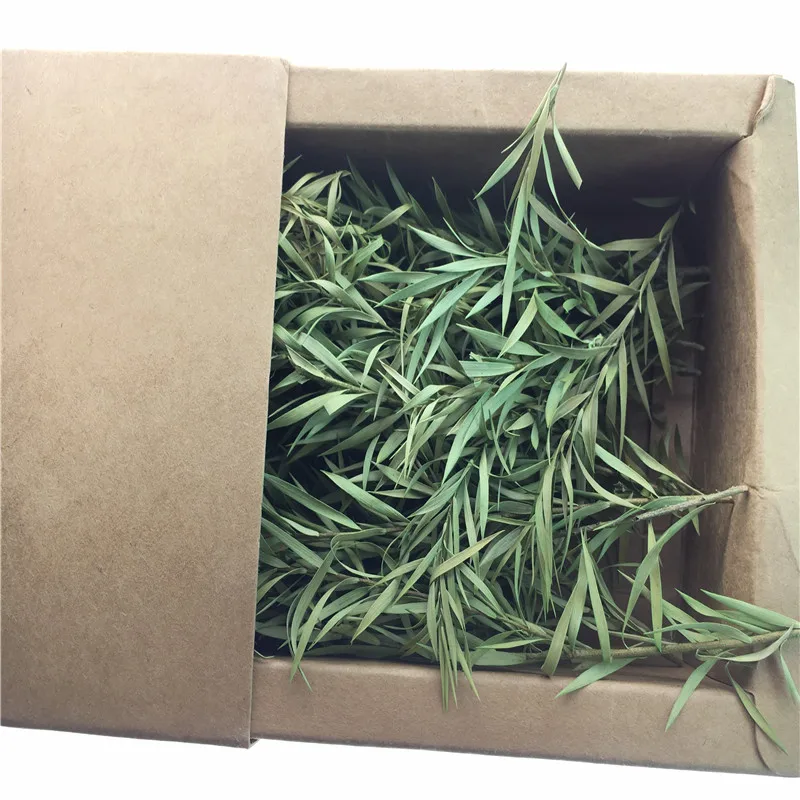 architecture model grass ho train layout08